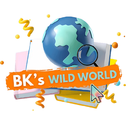 BK’s Wild World